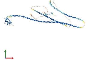 AlphaFold protein structure predicition of Mouse Recombinant Tax1bp1 Protein, UniprotID Q3UKC1