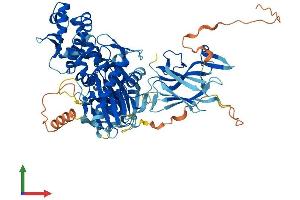 AlphaFold protein structure predicition of Human Recombinant HSPA12B Protein, UniprotID Q96MM6
