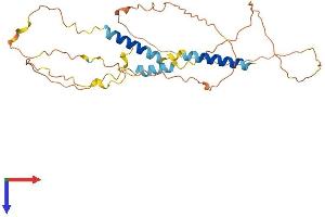 AlphaFold protein structure predicition of Mouse Recombinant Ier5 Protein, UniprotID O89113