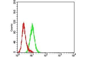 Flow cytometric analysis of Hela cells using KRT18 mouse mAb (green) and negative control (red).