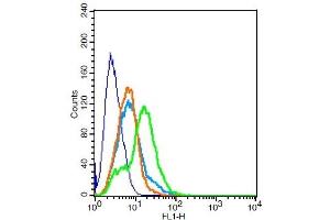 RSC96 cells probed with NMUR1/GPR66 Polyclonal Antibody, Unconjugated  at 1:100 for 30 minutes followed by incubation with a conjugated secondary -FITC) (green) for 30 minutes compared to control cells (blue), secondary only (light blue) and isotype control (orange). (NMUR1 anticorps  (AA 31-80))
