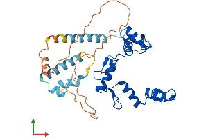 AlphaFold protein structure predicition of Human Recombinant ZNF75A Protein, UniprotID Q96N20