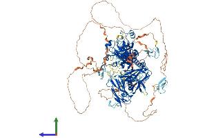 AlphaFold protein structure predicition of Mouse Recombinant Capn15 Protein, UniprotID Q9JLG8