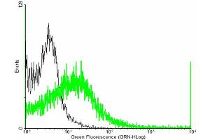 FACS analysis of negative control 293 cells (Black) and RGS7 expressing 293 cells (Green) using RGS7 purified MaxPab mouse polyclonal antibody.
