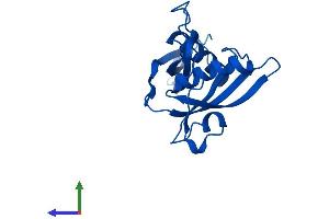 AlphaFold protein structure predicition of Mouse Recombinant Rpl18a Protein, UniprotID P62717