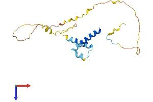 AlphaFold protein structure predicition of Human Recombinant HES3 Protein, UniprotID Q5TGS1