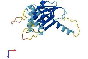 AlphaFold protein structure predicition of Human Recombinant AP5S1 Protein, UniprotID Q9NUS5
