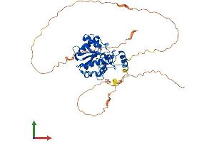 AlphaFold protein structure predicition of Human Recombinant TDG Protein, UniprotID Q13569