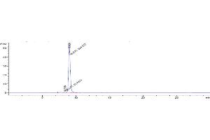The purity of Anti-IL-3Ra / CD123 Reference Antibody (SGN-CD123A) is 95.
