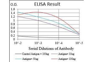 Black line: Control Antigen (100 ng), Purple line: Antigen(10 ng), Blue line: Antigen (50 ng), Red line: Antigen (100 ng), (MSTN anticorps  (AA 24-266))
