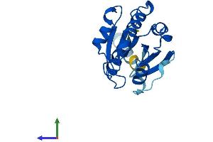 AlphaFold protein structure predicition of Human Recombinant ARL8B Protein, UniprotID Q9NVJ2