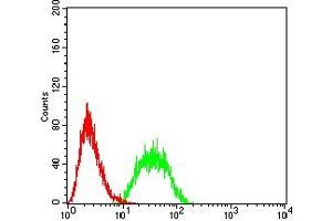 Flow cytometric analysis of HL-60 cells using CD80 mouse mAb (green) and negative control (red).