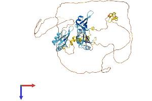 AlphaFold protein structure predicition of Mouse Recombinant Myef2 Protein, UniprotID Q8C854