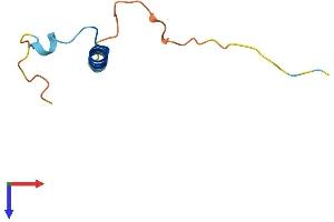 AlphaFold protein structure predicition of Mouse Recombinant Nrgn Protein, UniprotID P60761