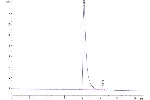 The purity of Mouse IGSF11 is greater than 95 % as determined by SEC-HPLC. (IGSF11 Protein (AA 23-240) (His tag))