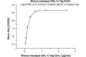 Immobilized HIV-1 [HIV-1/Clade C (16055)] GP120, His Tag (4) at 10 μg/mL (100 μL/well) can bind Rhesus macaque CD4, Fc Tag (ABIN2180785,ABIN2180784) with a linear range of 0.
