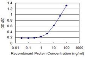 Detection limit for recombinant GST tagged ZNF165 is 0. (ZNF165 anticorps  (AA 1-485))