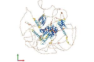 AlphaFold protein structure predicition of Human Recombinant WNK4 Protein, UniprotID Q96J92