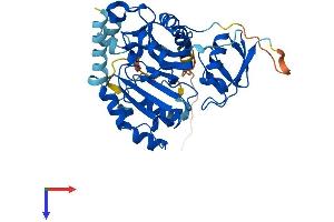 AlphaFold protein structure predicition of Human Recombinant AS3MT Protein, UniprotID Q9HBK9