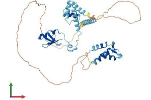 AlphaFold protein structure predicition of Mouse Recombinant Lyar Protein, UniprotID Q08288