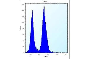 Flow Cytometry (FACS) image for anti-Signal Sequence Receptor, beta (Translocon-Associated Protein Beta) (SSR2) antibody (ABIN2997190) (SSR2 anticorps)