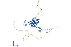 AlphaFold protein structure predicition of Human Recombinant LDB2 Protein, UniprotID O43679