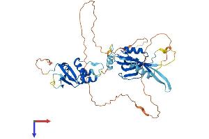 AlphaFold protein structure predicition of Mouse Recombinant Kctd16 Protein, UniprotID Q5DTY9