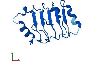 AlphaFold protein structure predicition of Mouse Recombinant Anp32c Protein, UniprotID Q64G17