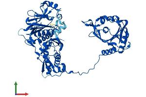 AlphaFold protein structure predicition of Human Recombinant FARSB Protein, UniprotID Q9NSD9