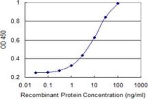 Detection limit for recombinant GST tagged HSPB6 is 0.