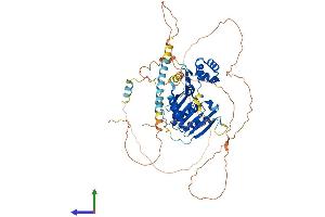 AlphaFold protein structure predicition of Mouse Recombinant Fam83d Protein, UniprotID Q9D7I8