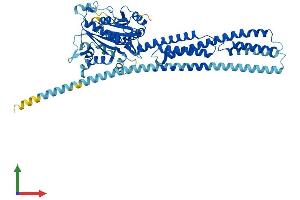 AlphaFold protein structure predicition of Human Recombinant GBP3 Protein, UniprotID Q9H0R5