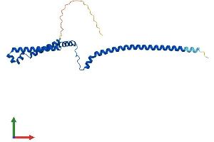 AlphaFold protein structure predicition of Human Recombinant PMF1 Protein, UniprotID Q6P1K2