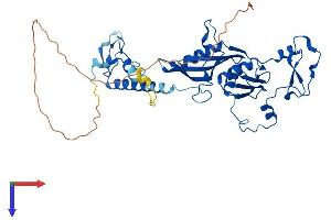 AlphaFold protein structure predicition of Human Recombinant MRPS5 Protein, UniprotID P82675