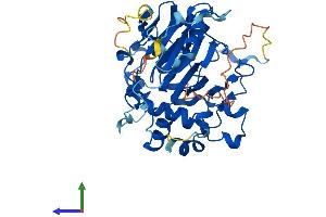 AlphaFold protein structure predicition of Human Recombinant ALKBH1 Protein, UniprotID Q13686