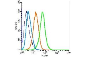 U87MG cells probed with Puma Polyclonal Antibody, Unconjugated  at 1:50 for 30 minutes followed by incubation with a conjugated secondary (PE Conjugated) (green) for 30 minutes compared to control cells (blue), secondary only (light blue) and isotype control (orange).