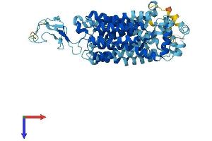 AlphaFold protein structure predicition of Mouse Recombinant Slc22a6 Protein, UniprotID Q8VC69