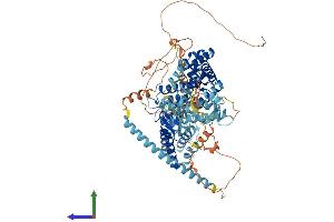 AlphaFold protein structure predicition of Human Recombinant RASGRP1 Protein, UniprotID O95267