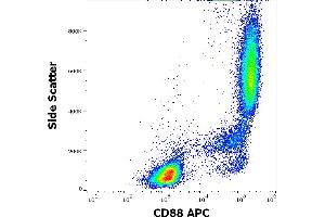 Flow cytometry surface staining pattern of human peripheral whole blood stained using anti-human CD88 (S5/1) APC antibody (10 μL reagent / 100 μL of peripheral whole blood). (C5AR1 anticorps  (AA 15-27) (APC))