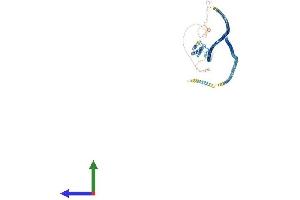 AlphaFold protein structure predicition of Mouse Recombinant Cep112 Protein, UniprotID Q5PR68