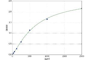 Spindle and Kinetochore-Associated Protein 2 (FAM33A) ELISA Kit