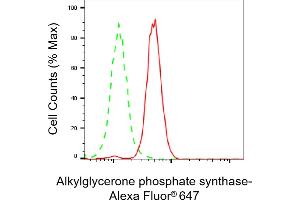 Flow cytometric analysis of Alkylglycerone phosphate synthase expression in HeLa cells using Alkylglycerone phosphate synthase antibody (ABIN7797582), 1:2,000).