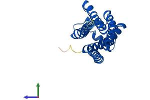 AlphaFold protein structure predicition of Human Recombinant EBPL Protein, UniprotID Q9BY08