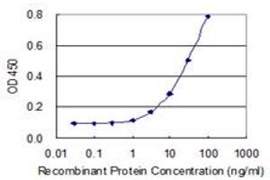 anti-Immediate Early Response 2 (IER2) (AA 1-223) antibody