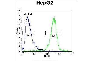 Flow cytometric analysis of HepG2 cells (right histogram) compared to a negative control cell (left histogram). (IGF2BP2 anticorps  (C-Term))