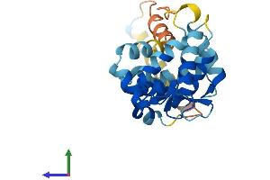 AlphaFold protein structure predicition of Mouse Recombinant Kcnip1 Protein, UniprotID Q9JJ57