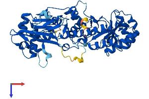 Nicotinamide phosphoribosyltransferase (NAMPT) (AA 1-491) protein (His tag)