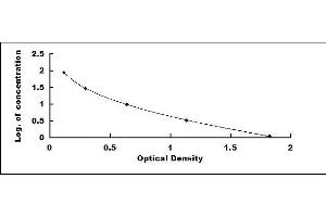 5-Methyltetrahydrofolate (5-Me-THF) ELISA Kit