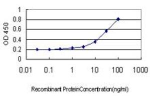 Detection limit for recombinant GST tagged RPL36A is approximately 1ng/ml as a capture antibody. (RPL36A anticorps  (AA 7-106))