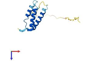 AlphaFold protein structure predicition of Mouse Recombinant Sdhaf1 Protein, UniprotID Q3U276